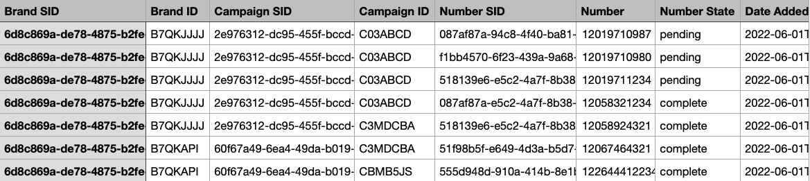 A screenshot of a table organizing values by Brand SID, Brand ID, Campaign SID, Campaign ID, Number SID, Number, Number State, and Date Added.