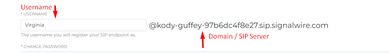 A screenshot of the username and domain. A red arrow pointing to the domain portion is labeled 'Domain/SIP Server'.